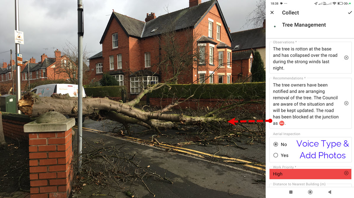 tree risk assessment - collapsed tree tree risk assessment - collapsed tree