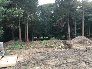 arboricultural impact of building near trees