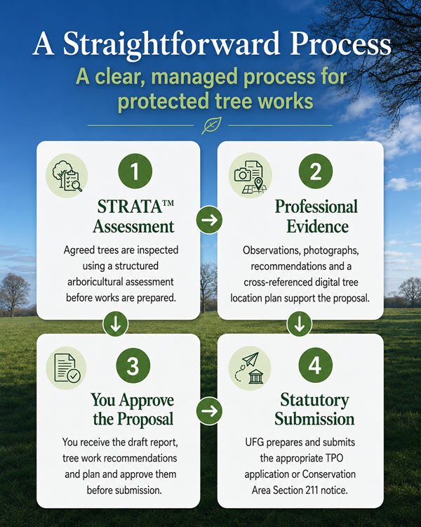 Application for Tree Works Application for Tree Works