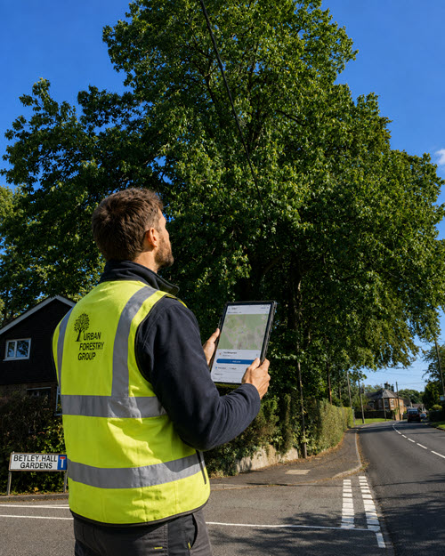 Urban Forestry Group - tree surveyor Urban Forestry Group - tree surveyor