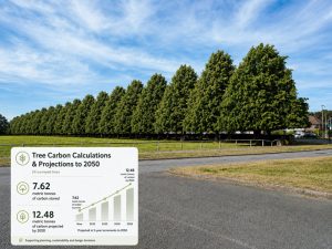 Carbon Calculations for BS 5837 Tree Surveys